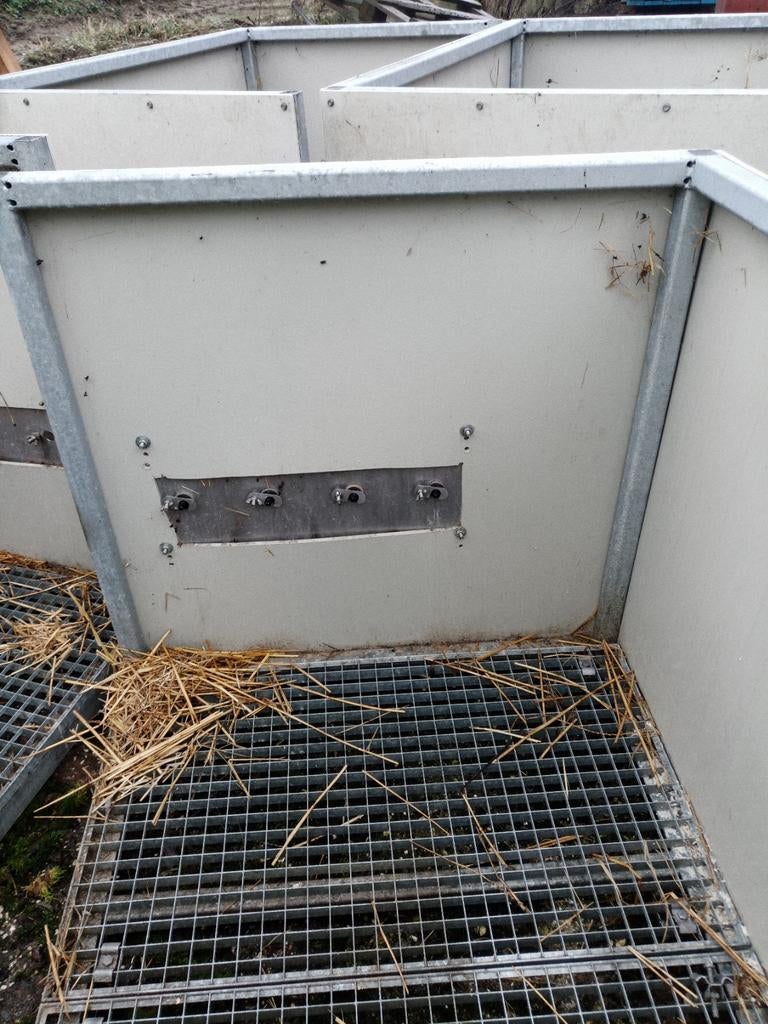 Melk automaat kist, Dieren en Toebehoren, Schapen, Geiten en Varkens, Mannelijk, Schaap