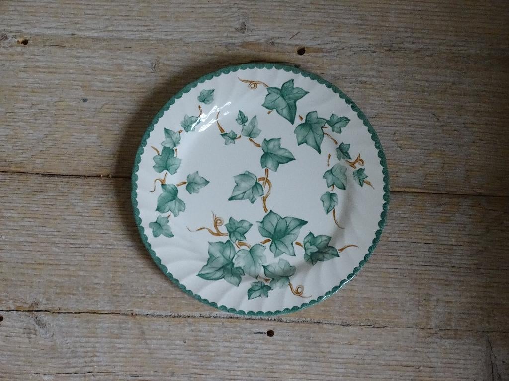 1x Taartbordje, Barratts COUNTRY VINE IVY, als nieuw
