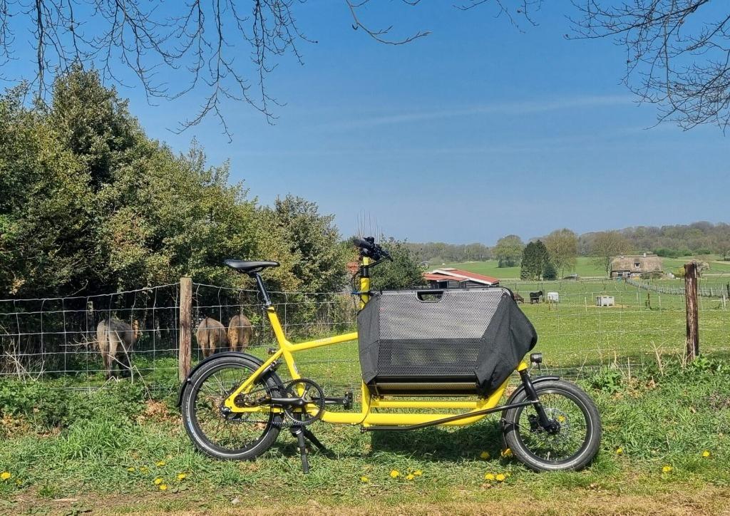 Muli Muskel Belt Fresh Lemon op voorraad!, Overige merken, Verzenden, Nieuw, Info@cafecadans.nl