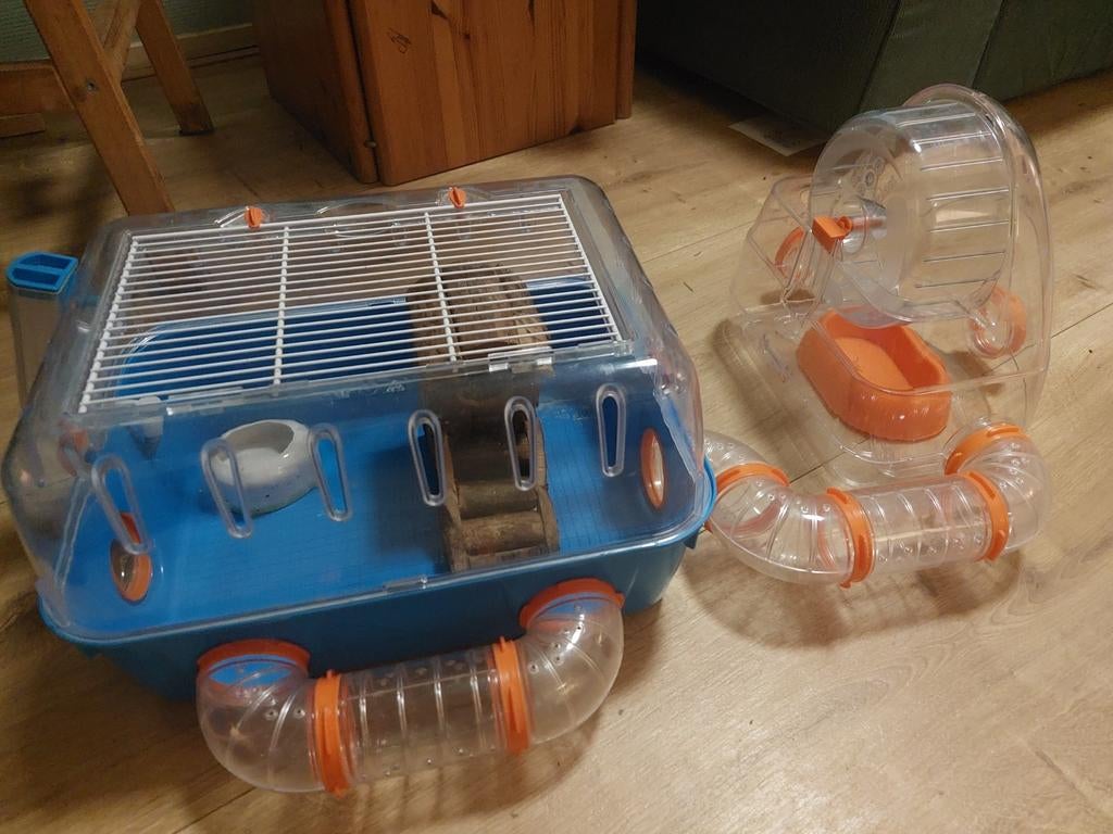 Complete hamsterkooi, Kooi, Gebruikt, Minder dan 75 cm, Hamster