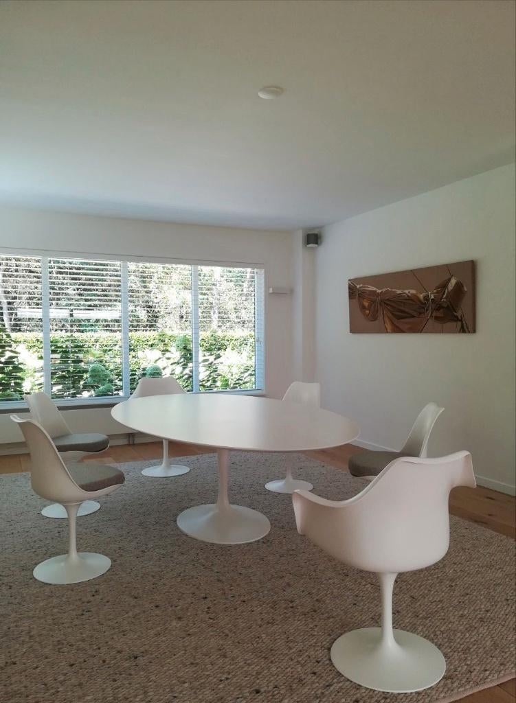 90 x 180 tulipe 244 x 137 eero saarinen tafels stoelen, Ophalen of Verzenden, Nieuw, Hout
