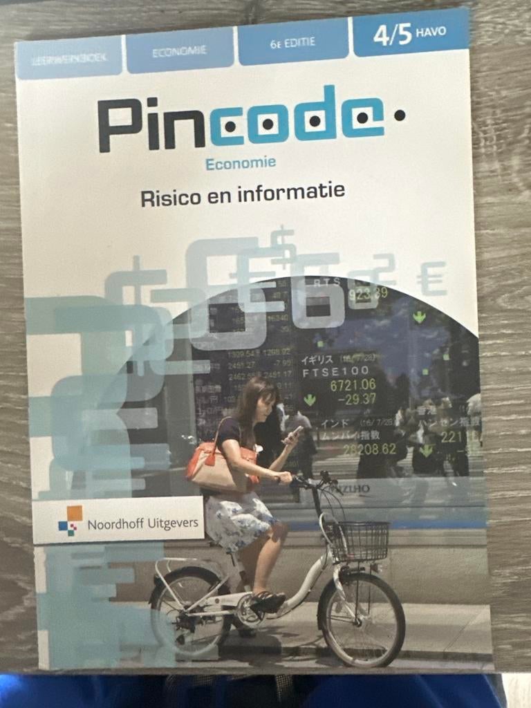 Pincode Economie 4/5 HAVO - Risico en Informatie, Boeken, Ophalen of Verzenden, Beta, Zo goed als nieuw