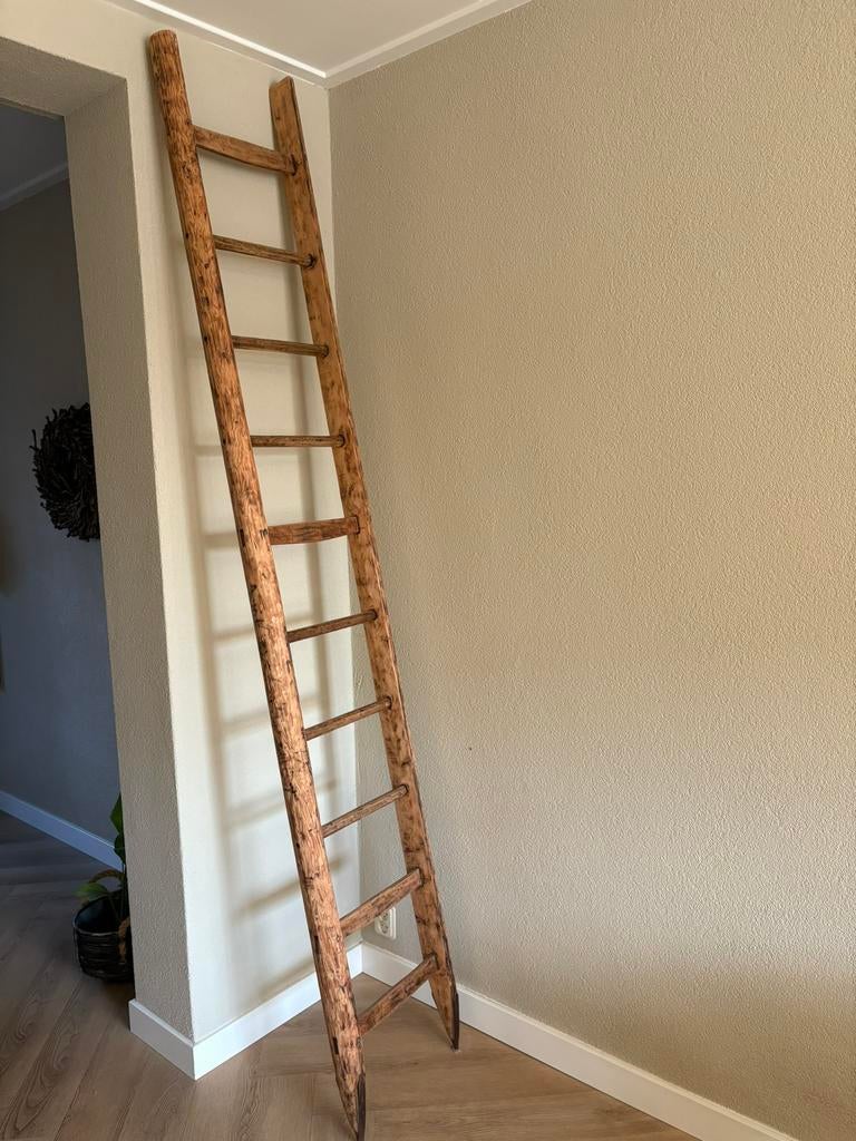 Mooie plukladder, Ophalen, Gebruikt, Ladder