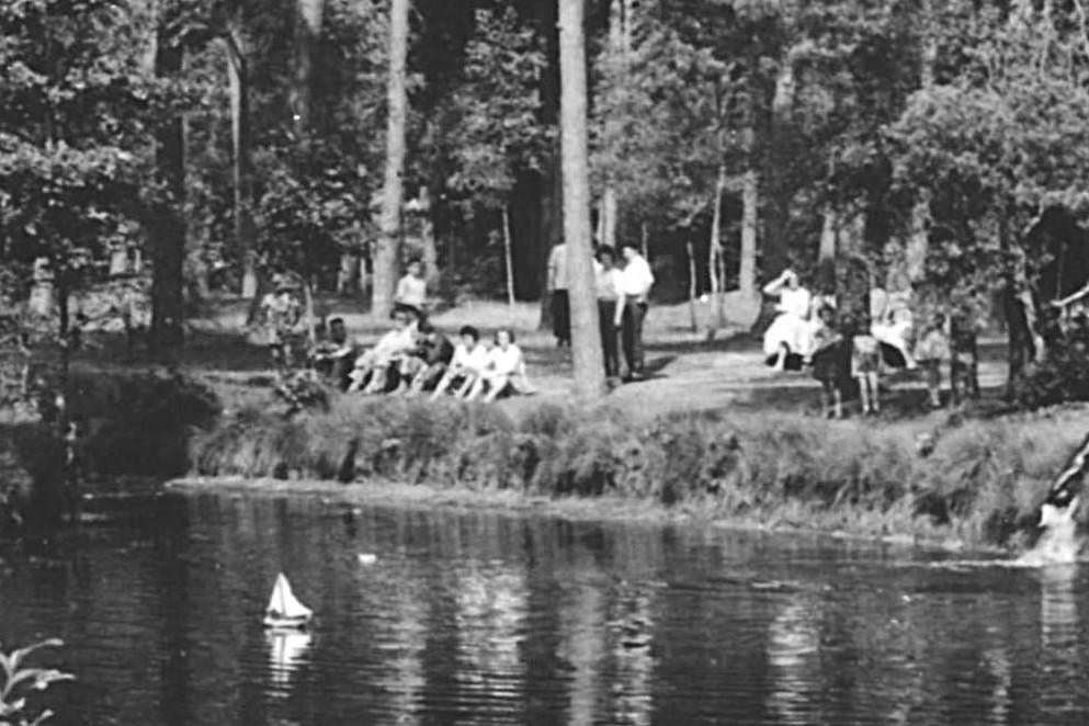 966064 Driebergen 1963 Vijver in t Bos Gelopen met postzegel, Ophalen of Verzenden, 1960 tot 1980, Gelopen, Utrecht