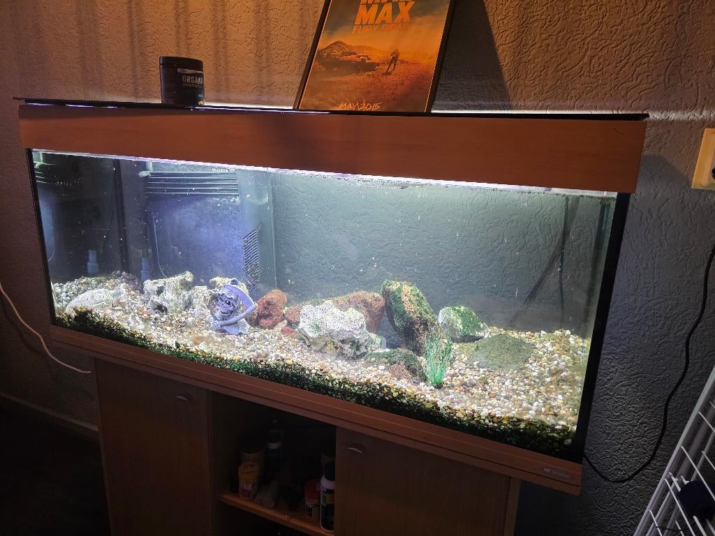 Ferplast 250 aquarium , Extern filter, Intern filter, Dieren en Toebehoren, Vis, Zoetwatervis
