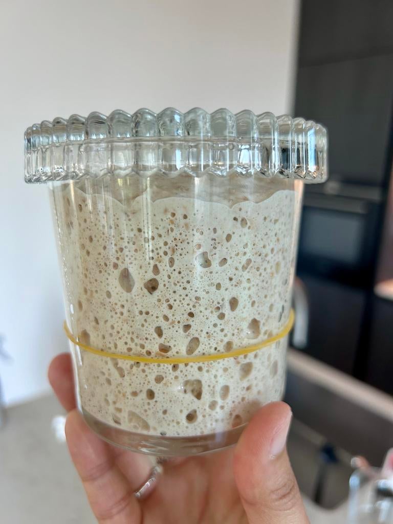 Bio zuurdesem starter, Ophalen of Verzenden