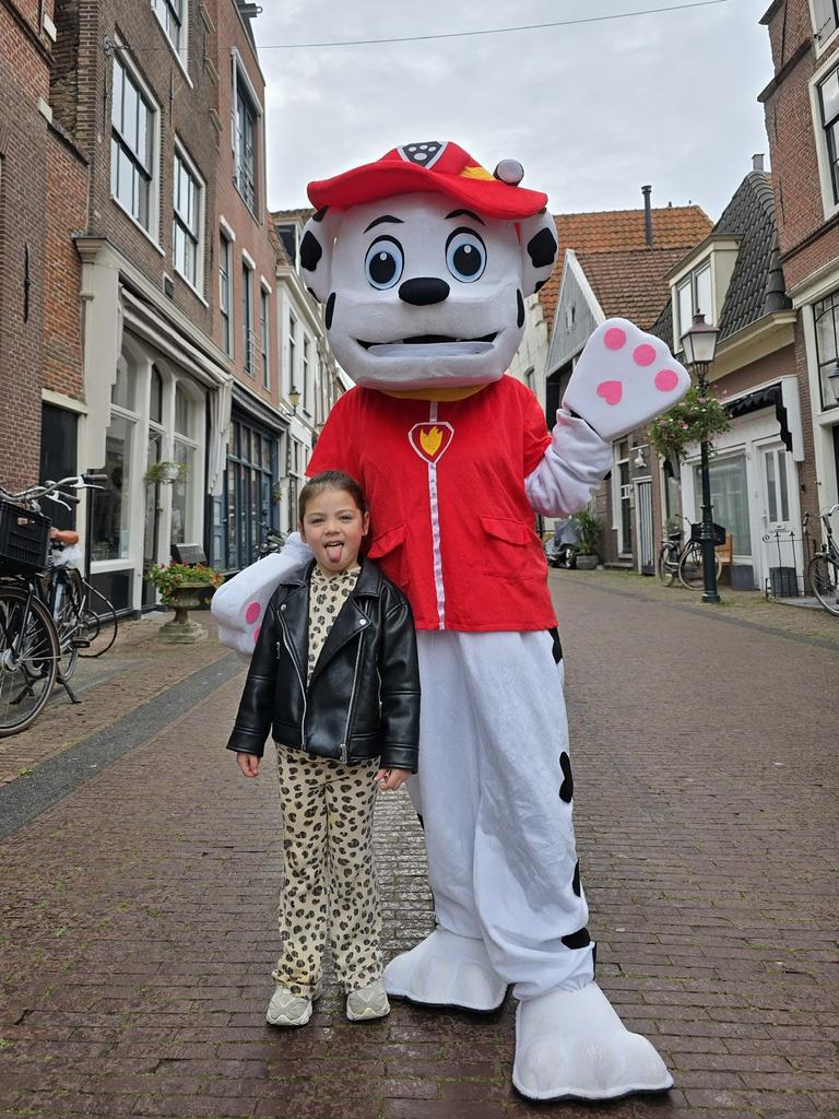 Marshall te huur, Hobby en Vrije tijd, Feestartikelen | Verhuur, Ophalen of Verzenden