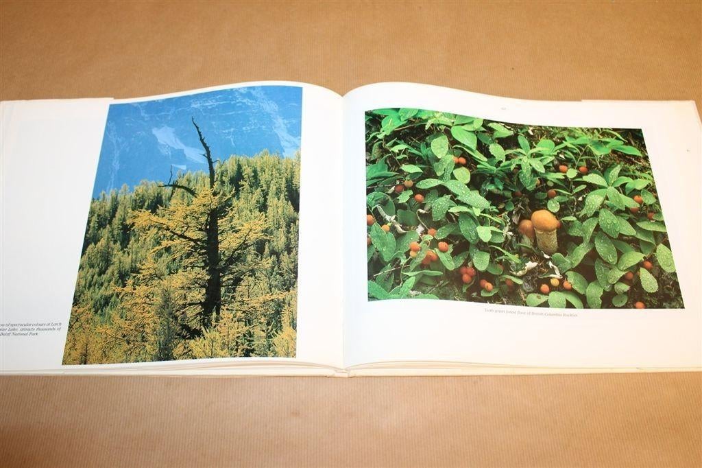 Rocky Mountains Canada — Natuur Fotoboek [EN], Boeken, Natuur, Ophalen of Verzenden, Gelezen, Natuur algemeen