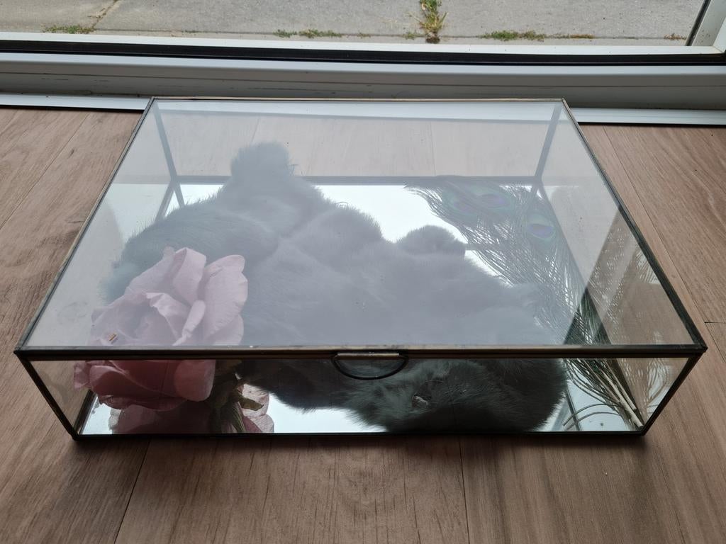 Glazen doos met spiegelende binnenkant, Ophalen of Verzenden, Zo goed als nieuw