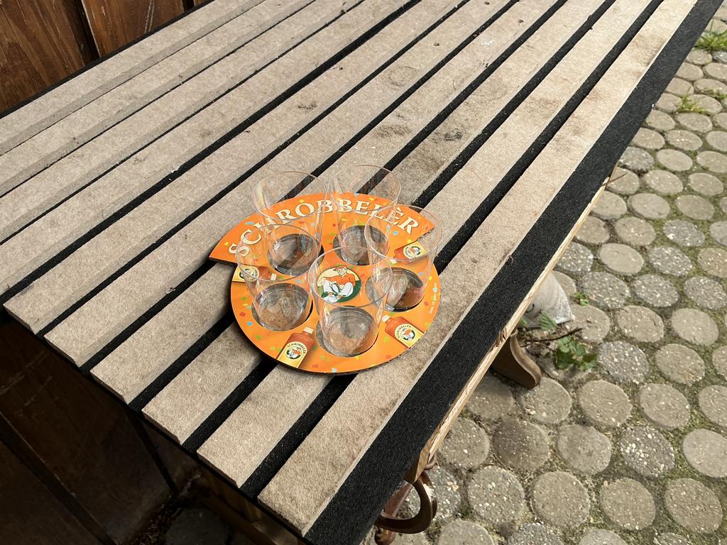 Tk shot glaasjes plastic met 1x DRAAGTRY zie foto,s nieuw ., Ophalen of Verzenden