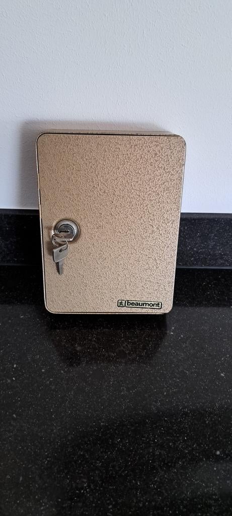 Muur sleutelkluisje Beaumont  17 haakjes metaal 2 sleutels, Ophalen of Verzenden