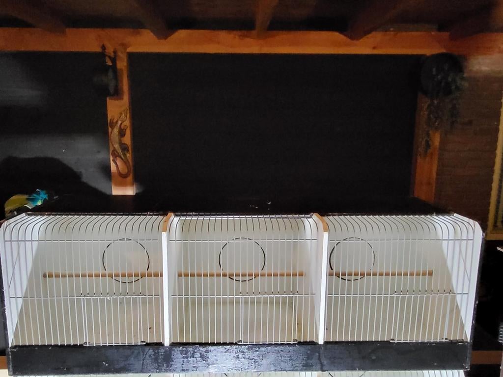 Kooi / kooien, Ophalen, Hout, Vogelkooi