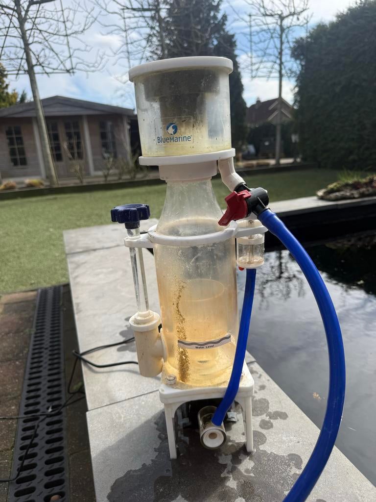 Blue marine eiwitafschuimer, Ophalen of Verzenden