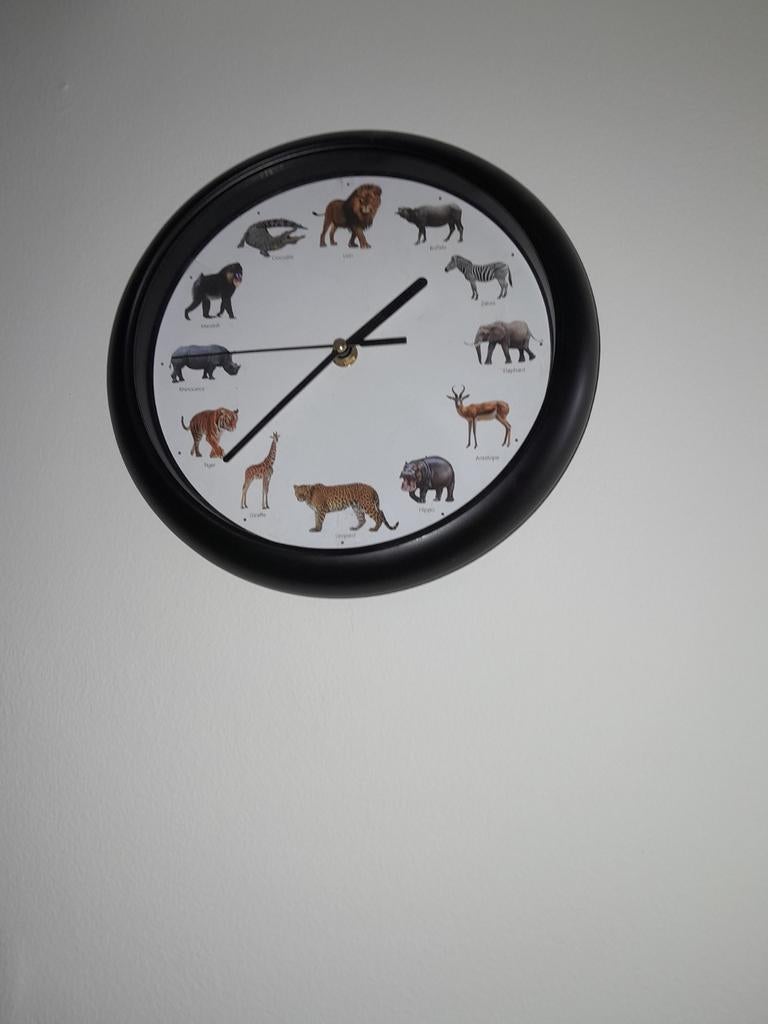 Dieren Wandklok, Huis en Inrichting, Woonaccessoires | Klokken, Ophalen of Verzenden, Zo goed als nieuw, Analoog, Wandklok