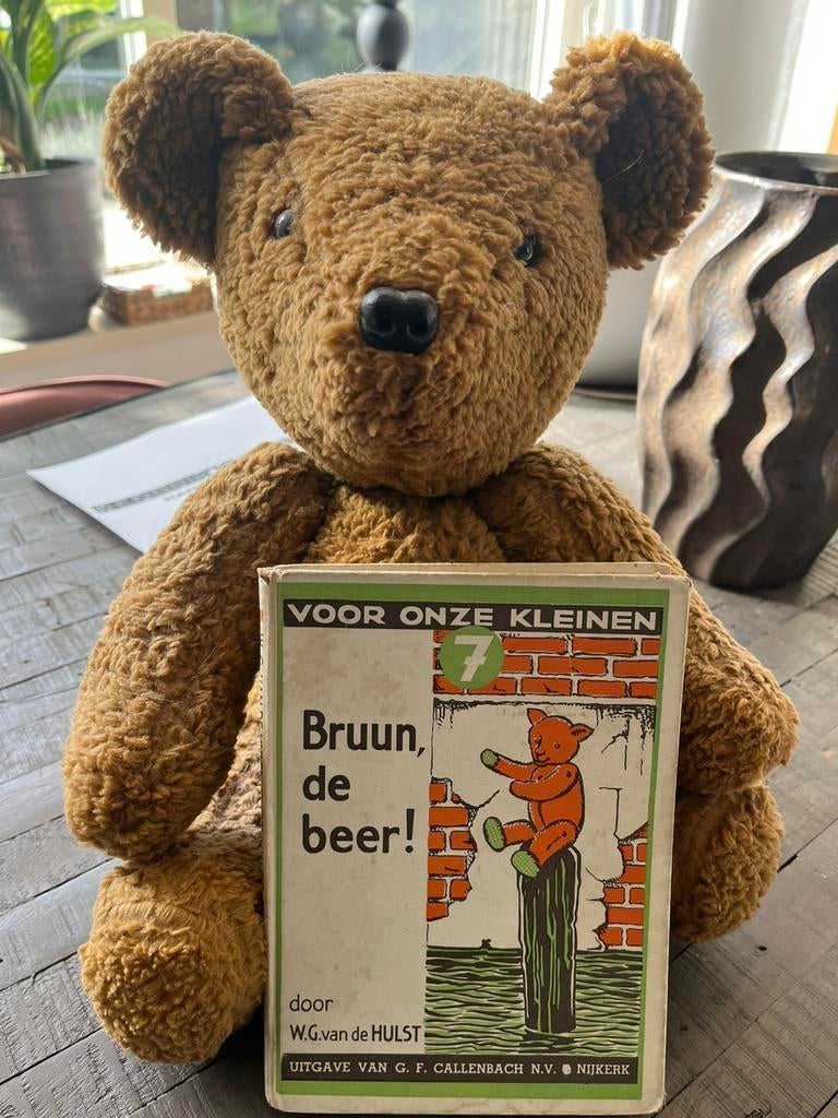 Bruine beer + boekje, Verzamelen, Beren en Cherished Teddies, Ophalen, Gebruikt, Stoffen beer, Overige merken