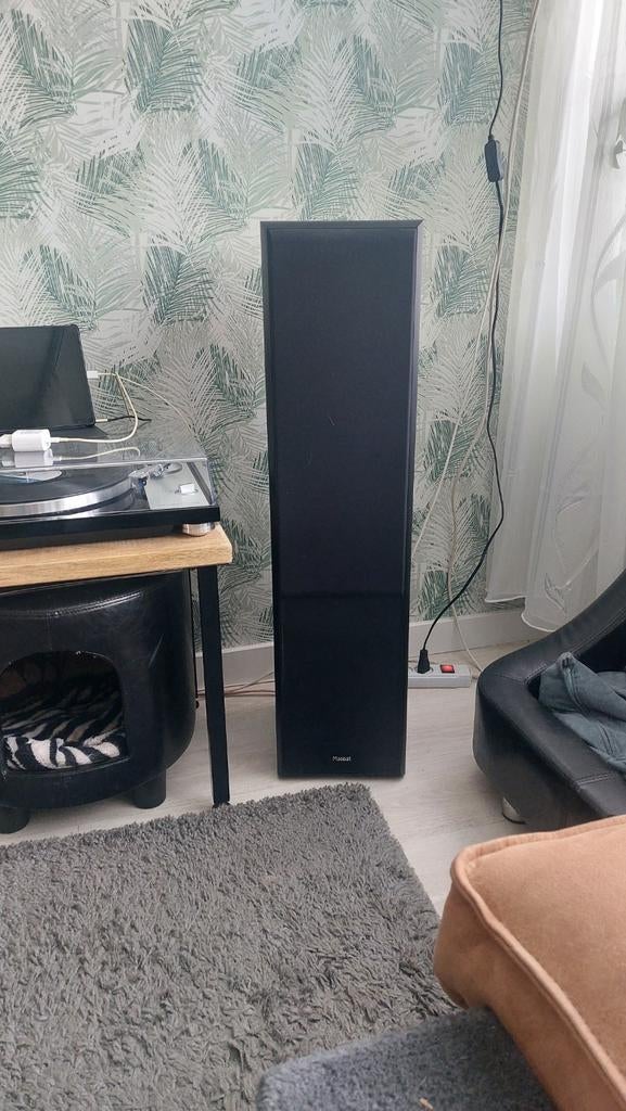 Magnat Monitor Supreme luidsprekers, Magnat, Nieuw, Ophalen of Verzenden, 120 watt of meer