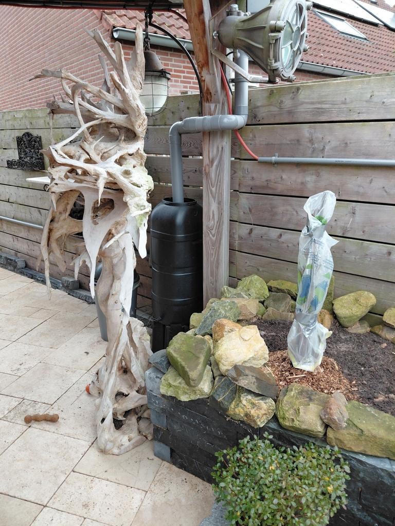 Javaboom, Meerdere dieren