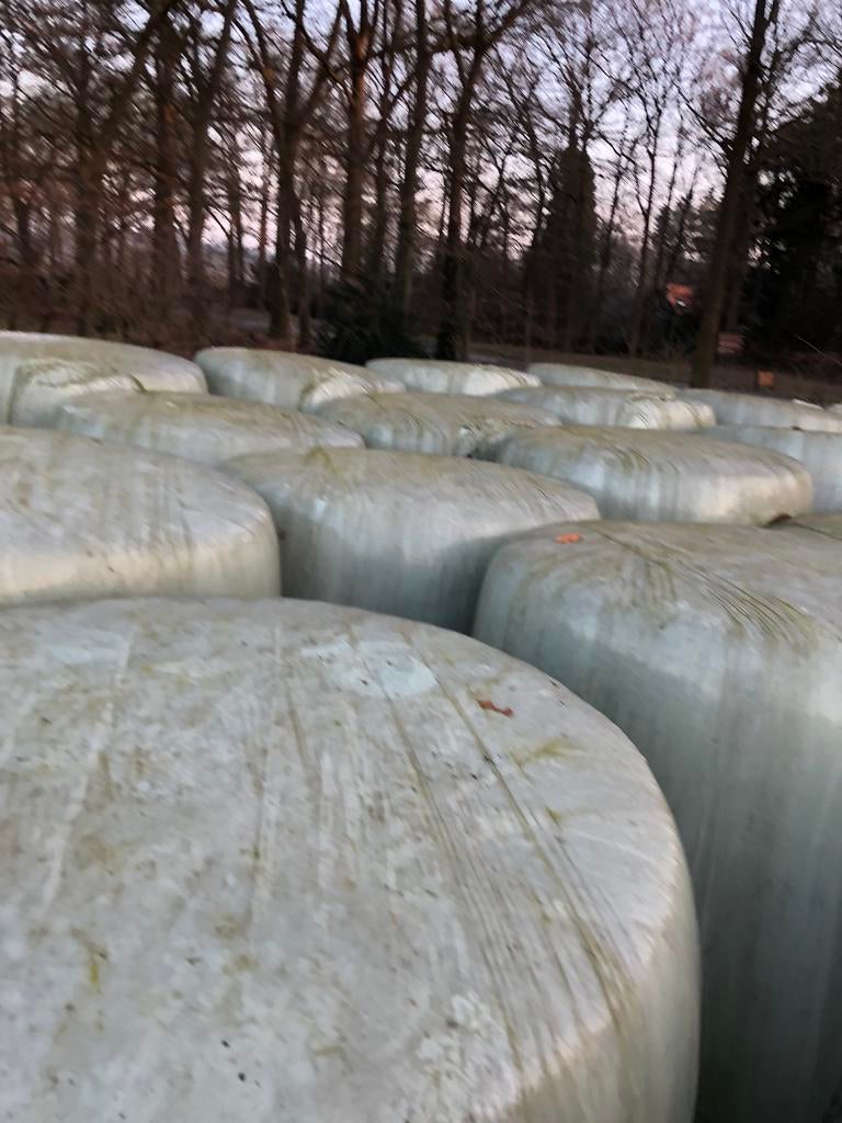 Maïs balen, Dieren en Toebehoren, Ophalen of Verzenden, Vee