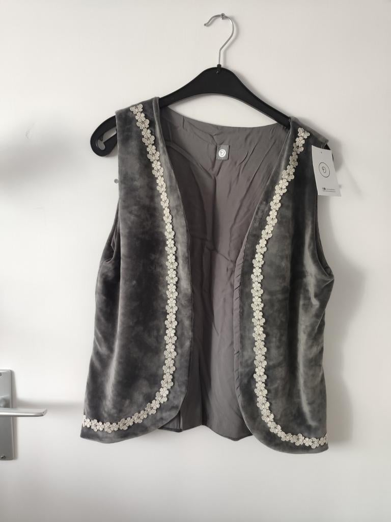 Dames Dekkers gilet grijs velours met bloem en vlinder decor, Ophalen of Verzenden, Nieuw, Maat 36 (S), Grijs