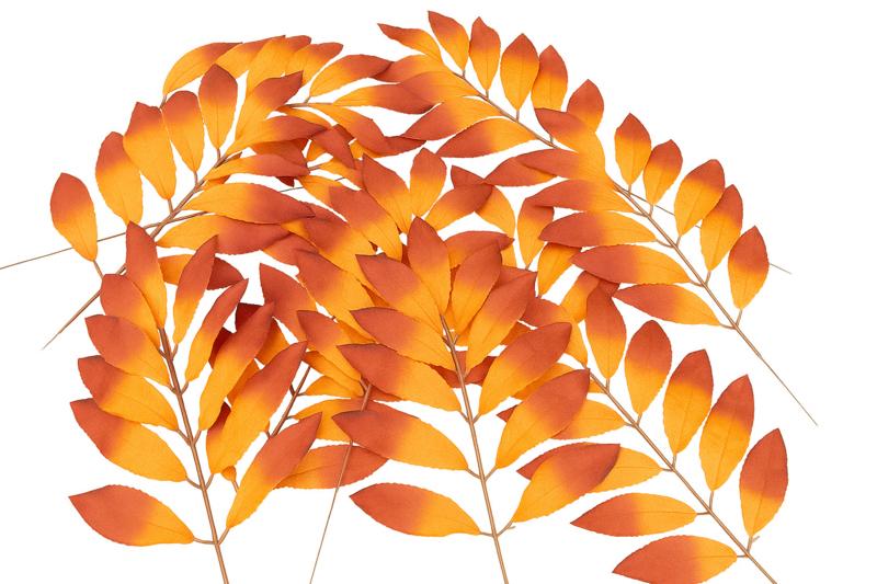 Nieuwe kunsttakken - kunstbladeren - oranje - decoratie, Binnen, 3811JM, Info@rodebeagle.nl, Rode Beagle kunstbloemen