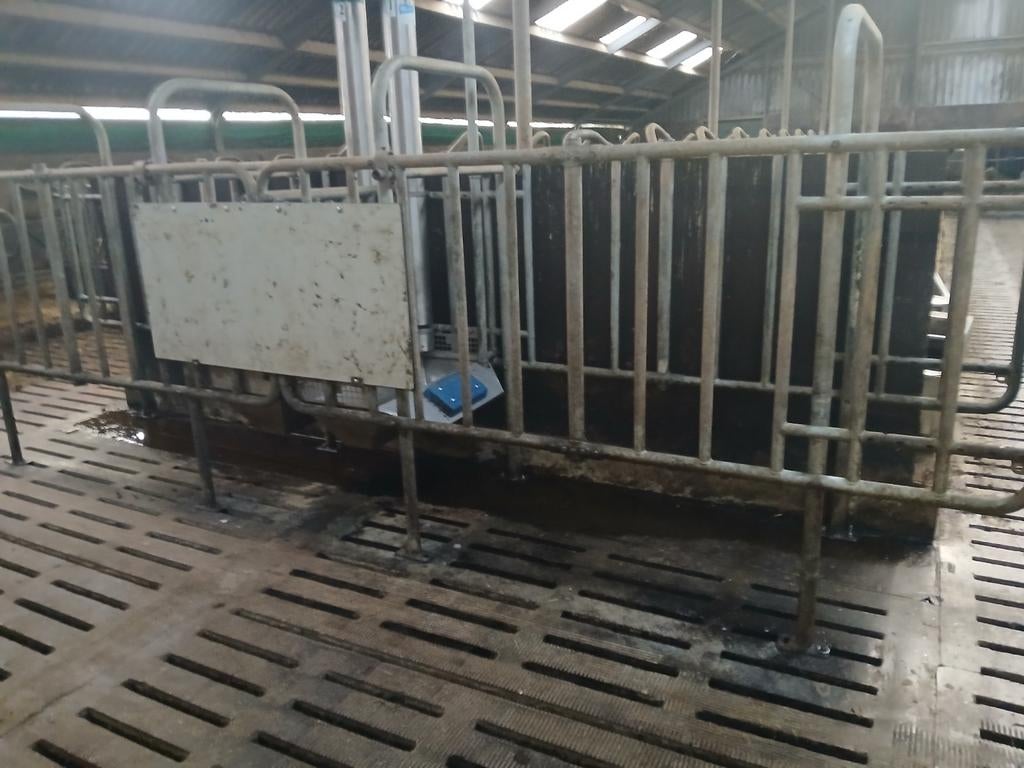 Krachtvoerbox 3 jaar oud, Ophalen, Zo goed als nieuw, IJzer, Tuinhek