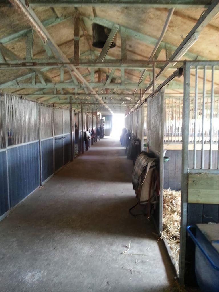Smart stables in 't Veld heeft plek!, Dieren en Toebehoren, Stalling en Weidegang, Stalling, Weidegang, 4 paarden of pony's of meer