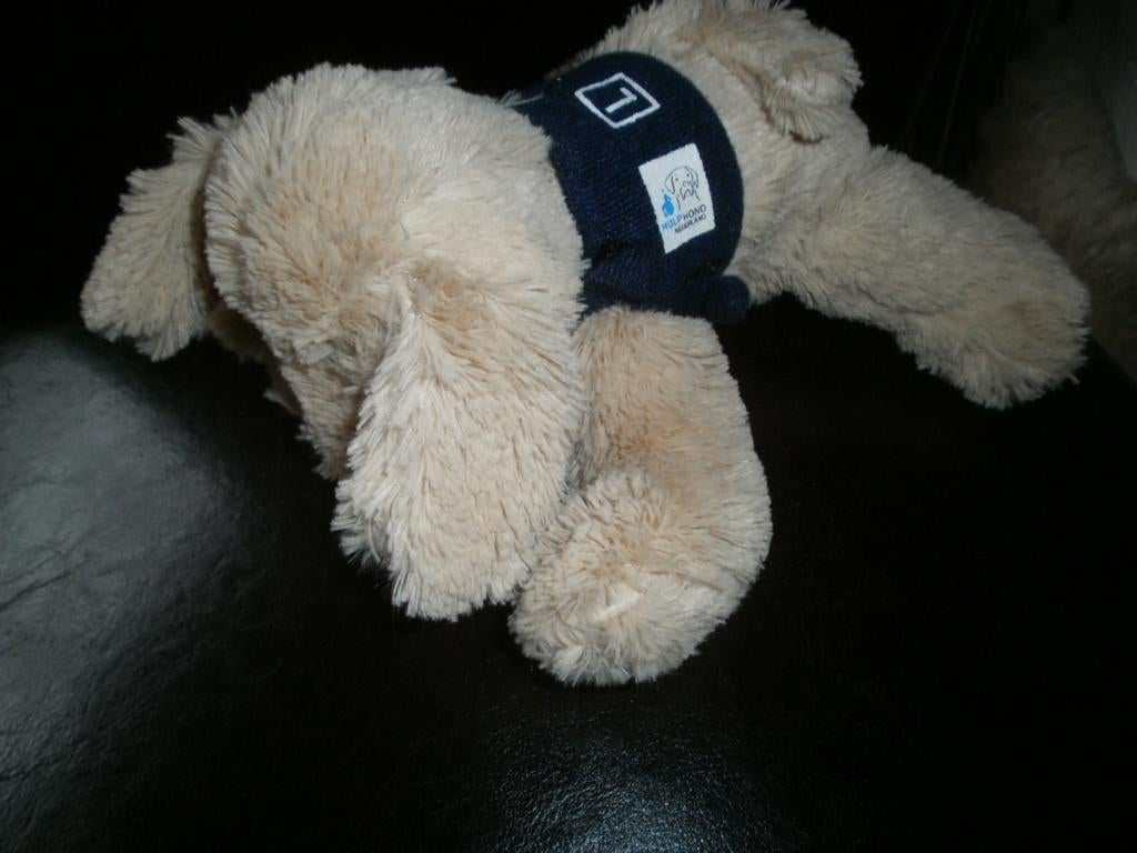 Sligro hulp hond Flip licht bruin harig velours met les L op, Ophalen of Verzenden, Zo goed als nieuw, Hond