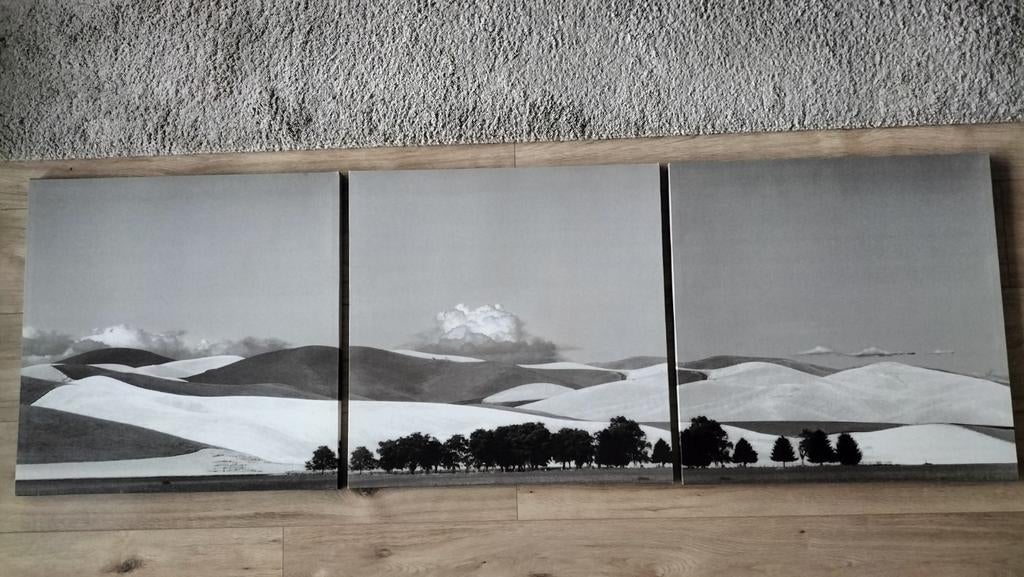 Ikea drieluik PJÄTTERYD serie 1999, Verzamelen, Foto's en Prenten, 1980 tot heden, Ophalen of Verzenden