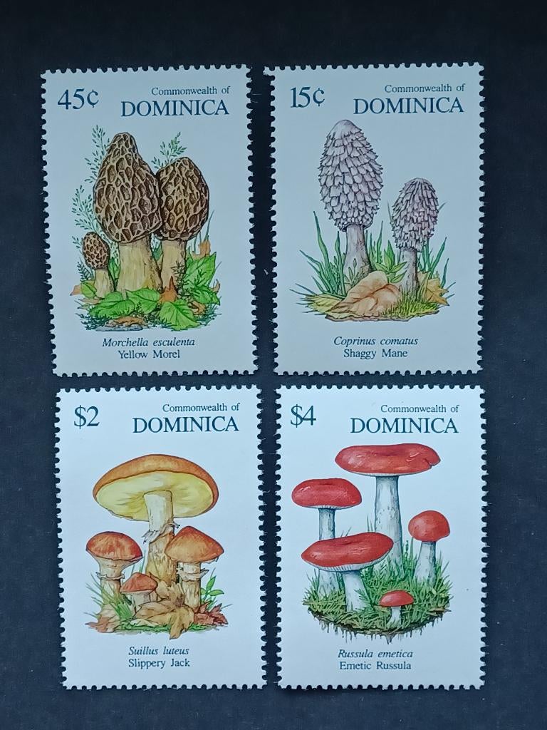 Postzegels Paddenstoelen - Dominica, Ophalen of Verzenden, Postfris, Dier of Natuur