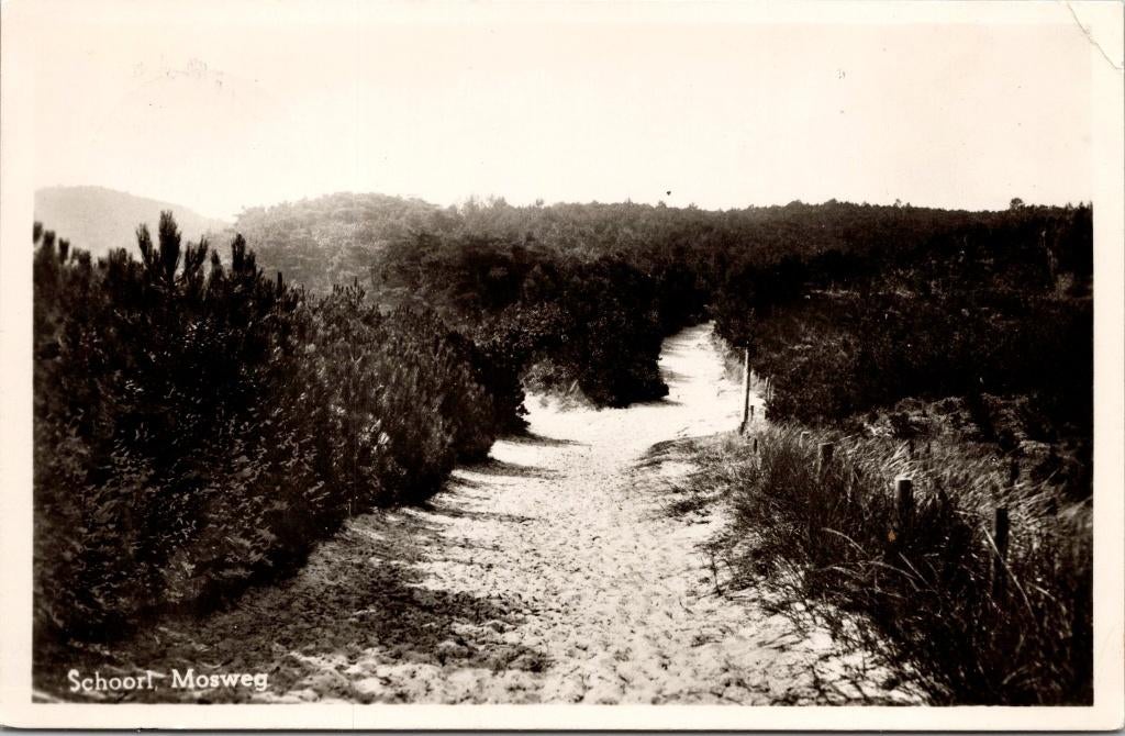 Schoorl - Mosweg (1943), Verzenden, 1940 tot 1960, Gelopen, Noord-Holland