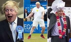 Boek : BORIS ; the rise of BORIS JOHNSON, 20e eeuw of later, Europa, Ophalen of Verzenden, Zo goed als nieuw