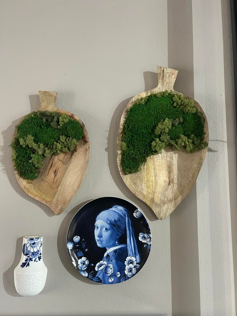 Mos creatie, Ophalen of Verzenden, Nieuw