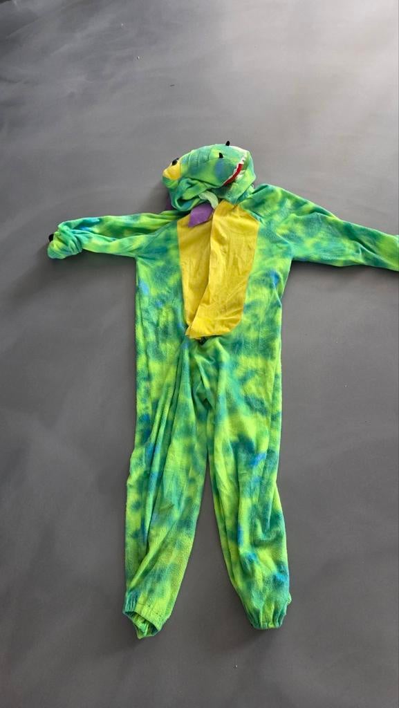 Diverse carnavalskleding. Kinderen en volwassenen, Ophalen, Jongen of Meisje