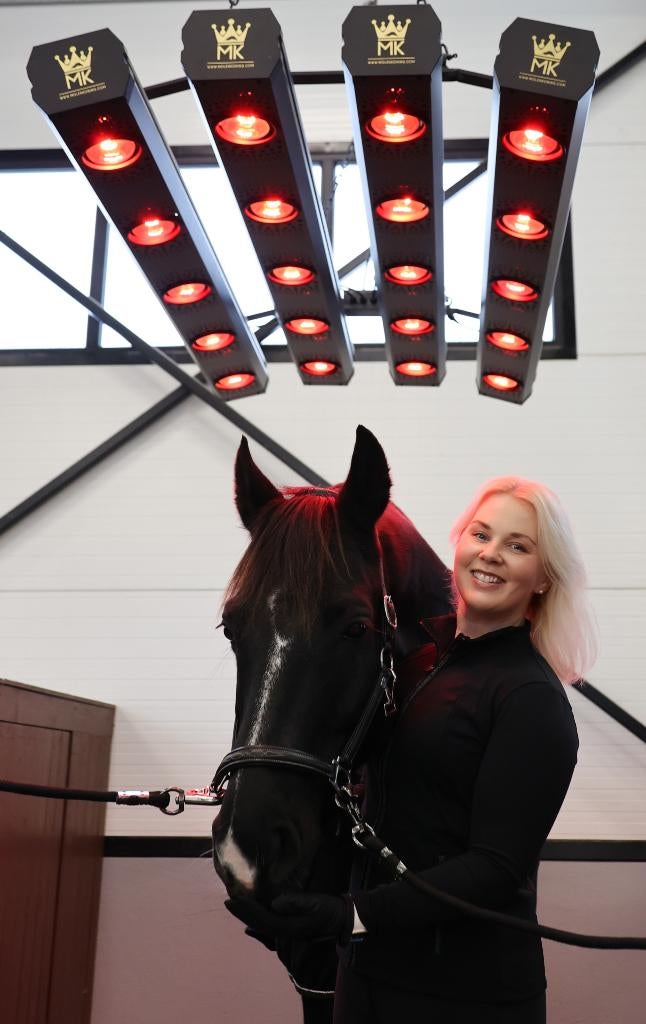 MK infrarood Premium Solarium voor paarden €1595 ,- excl.BTW, Dieren en Toebehoren, Paarden en Pony's | Overige Paardenspullen
