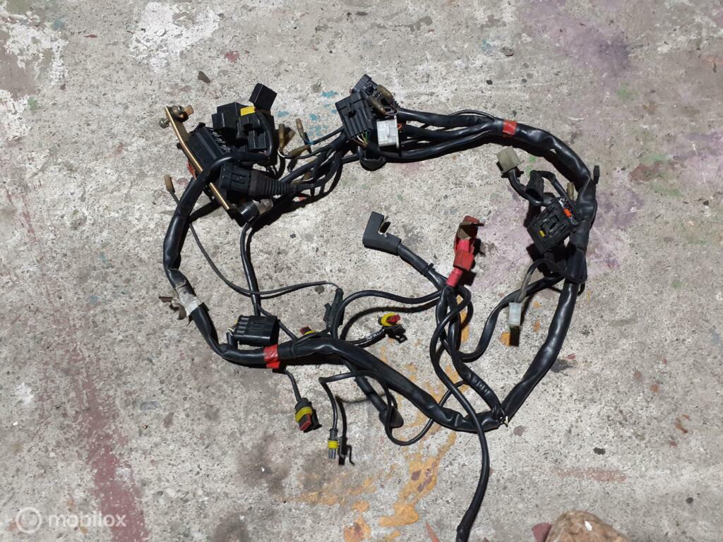 Kabelboom draadboom Monster 600 750 900 carburateur, Ophalen of Verzenden, Gebruikt