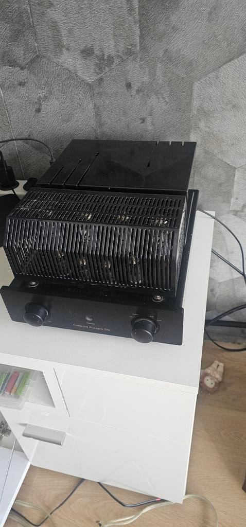 Hifi buizenversterker primaluna, Ophalen of Verzenden, Versterker