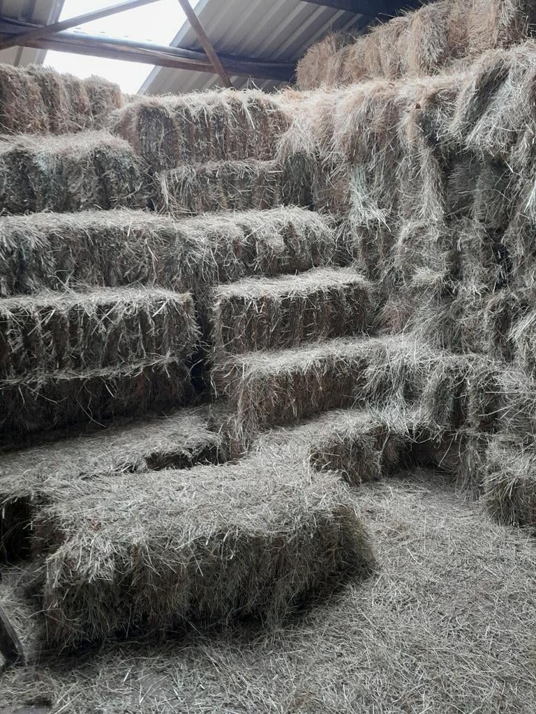 Hooi, Ophalen of Verzenden, Vee