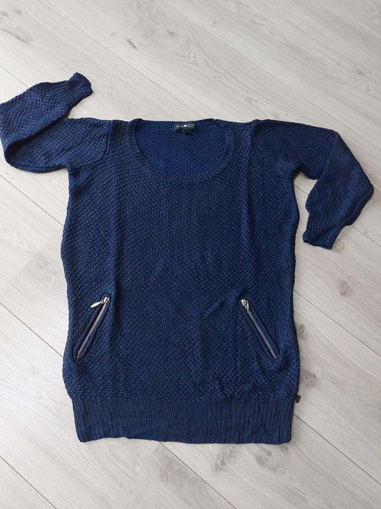 Anna Scott dames trui, Kleding | Dames, Maat 38/40 (M), Blauw, Ophalen of Verzenden, Zo goed als nieuw