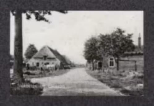 Grolloo Drenthe Straatbeeld Boerderijen., Verzamelen, Ansichtkaarten | Nederland, Ophalen of Verzenden, 1960 tot 1980, Ongelopen