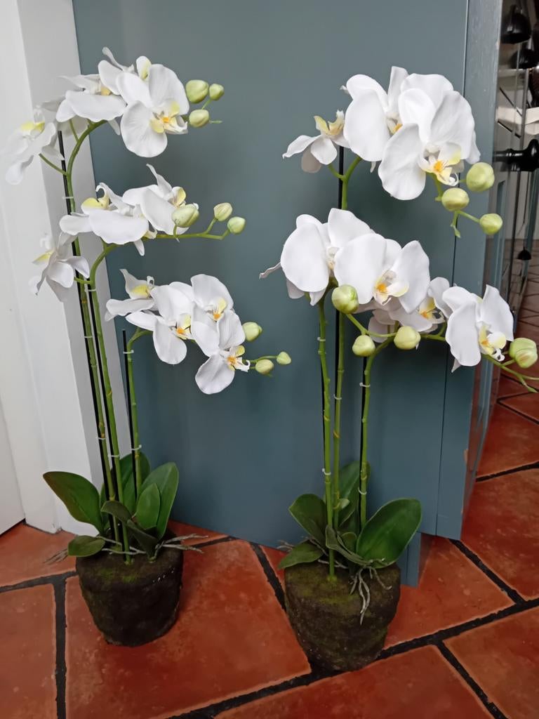 Set van 2 realistische kunstorchideeën in pot, Huis en Inrichting, Woonaccessoires | Kunstplanten en Kunstbloemen, Ophalen, Binnen
