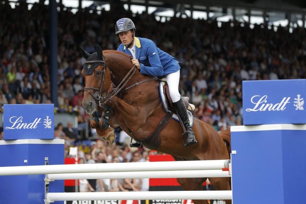 Diepvriessperma springhengsten te koop!, Dieren en Toebehoren, Hengst