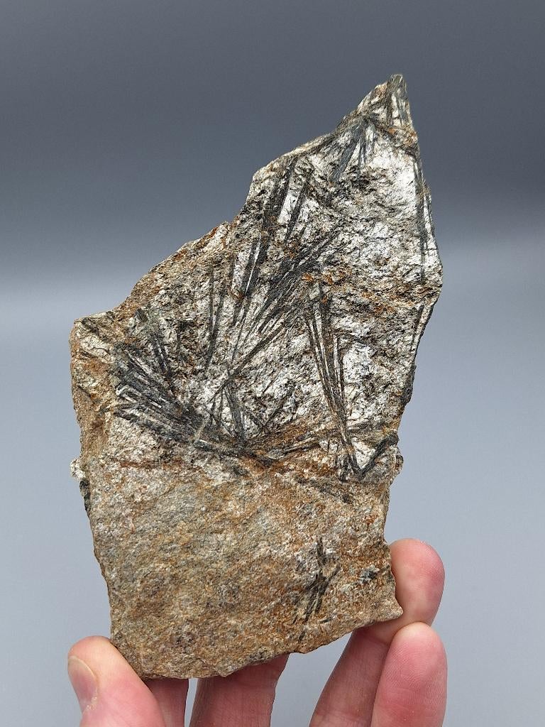 Aktinoliet - Finkenberg, Tirol, Oostenrijk, Ophalen of Verzenden, Mineraal