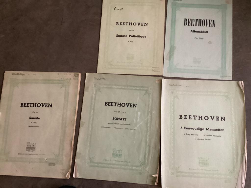 Klavarskribo piano Beethoven, Muziek en Instrumenten, Gebruikt, Klassiek, Ophalen of Verzenden, Artiest of Componist