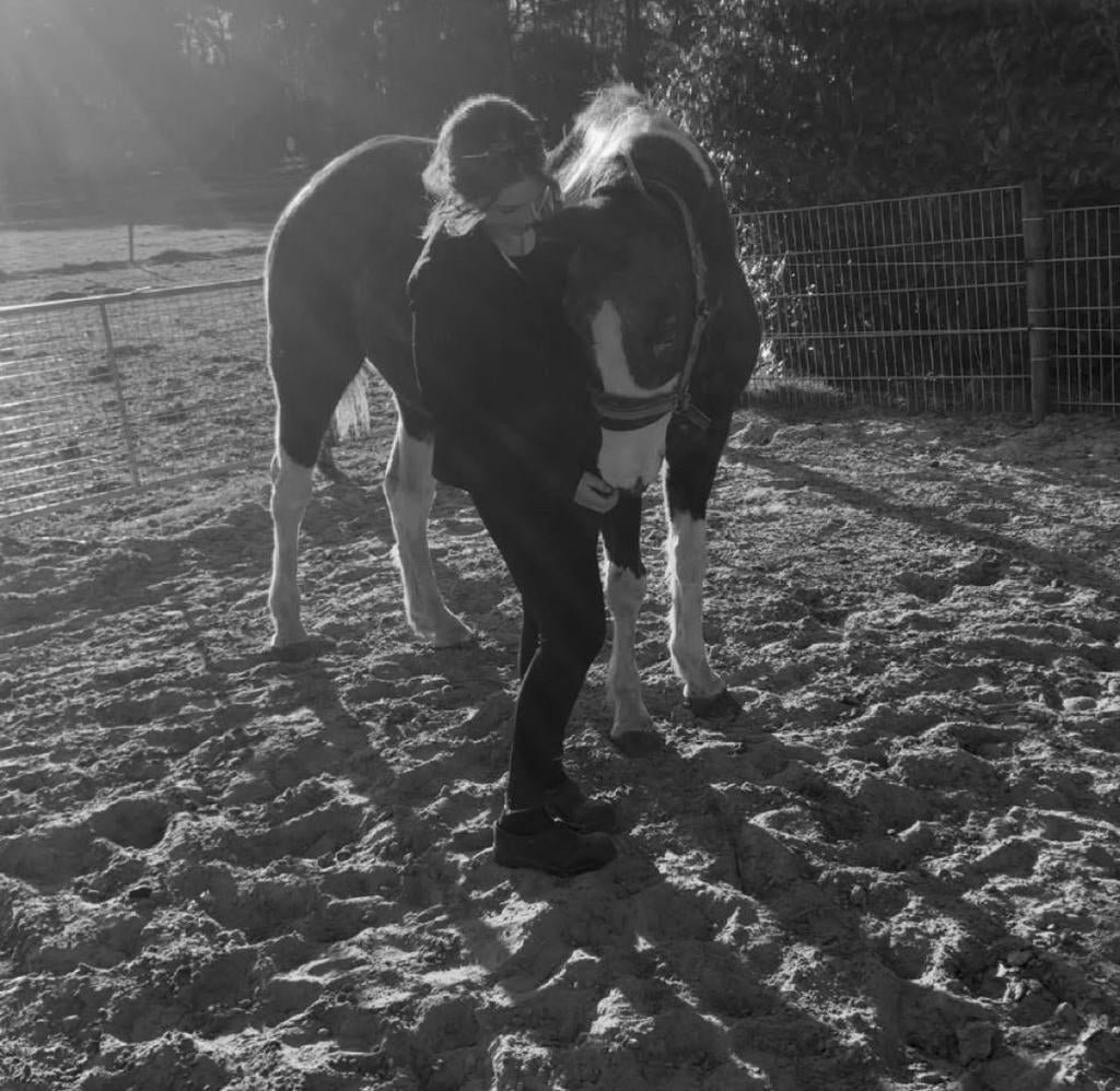 Bijrijder/verzorgster aangeboden!, Ophalen, Zo goed als nieuw