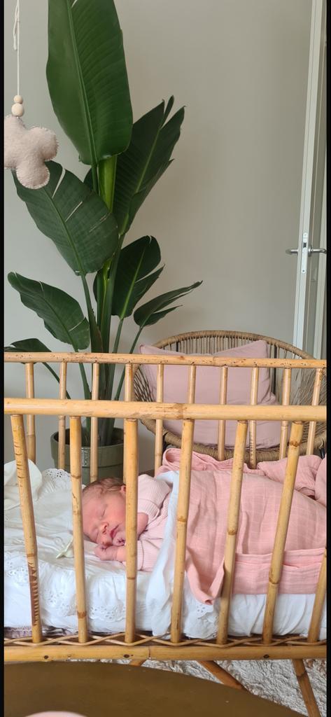 Rotan wiegje inclusief matrasje en klamboe, Ophalen of Verzenden, Gebruikt, Wieg