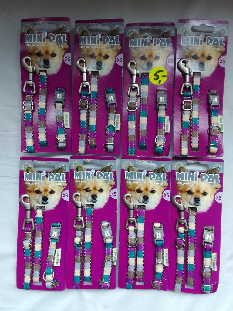 Mini pal xs looplijn+halsband, Www.ipts.nl, Nieuw, Ophalen of Verzenden, Ipts bv