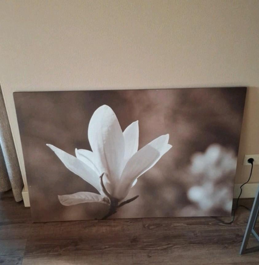 IKEA Canvas Schilderij Bloem - Magnolia, Ophalen of Verzenden