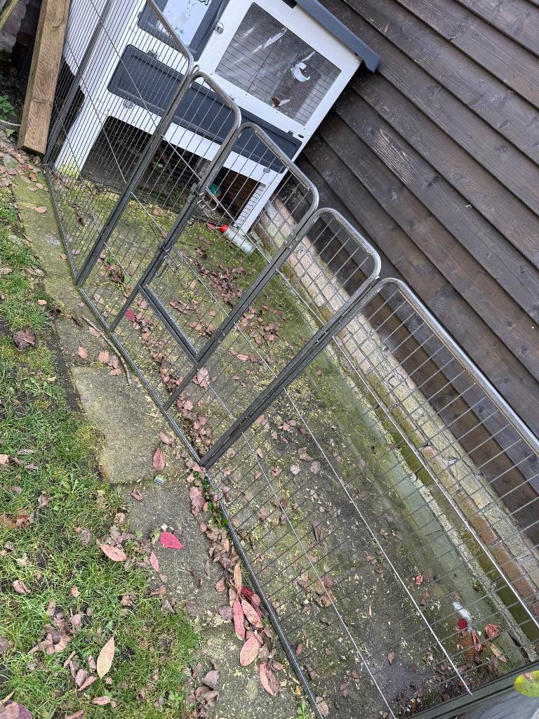 Ren, Ophalen, 110 cm of meer, 60 tot 90 cm, Zo goed als nieuw