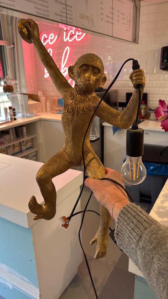 Gouden hanglamp aap, Ophalen, Gebruikt, Minder dan 50 cm