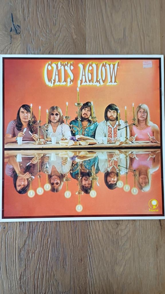 CATS - AGLOW - LP - VINYL, Cd's en Dvd's, Vinyl | Pop, Ophalen of Verzenden